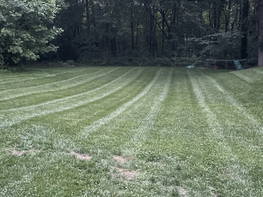 greener by the hour, lawn care