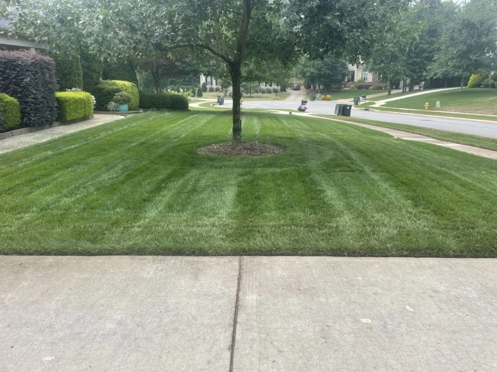aeration and overseeding