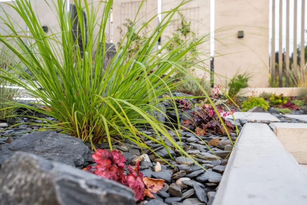sustainable landscaping in Mooresville