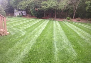 300-lawn