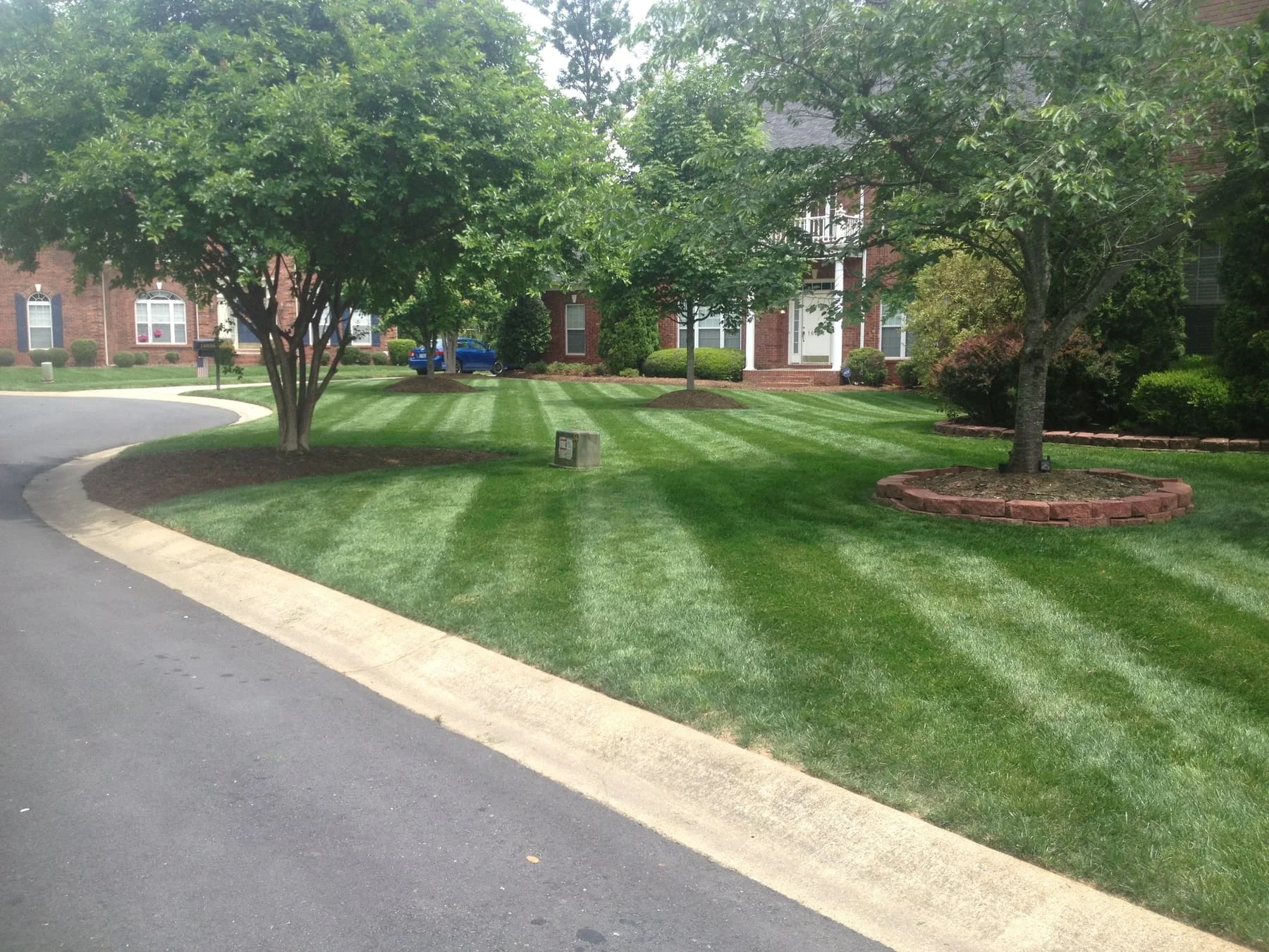 greener-by-the-hour-lawn
