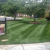lawn care
