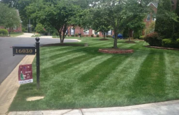 lawn care