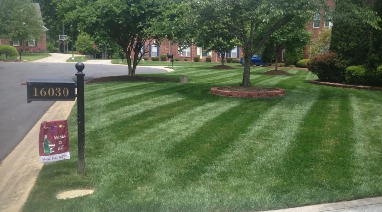 lawn care
