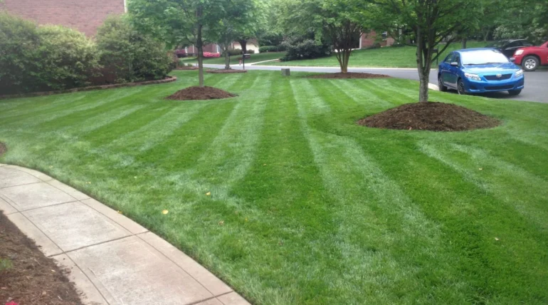 landscaping in mooresville
