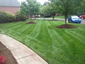 landscaping in mooresville