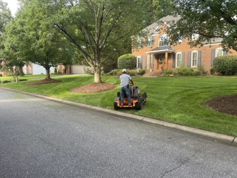 lawn maintenance services