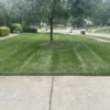 aeration and overseeding