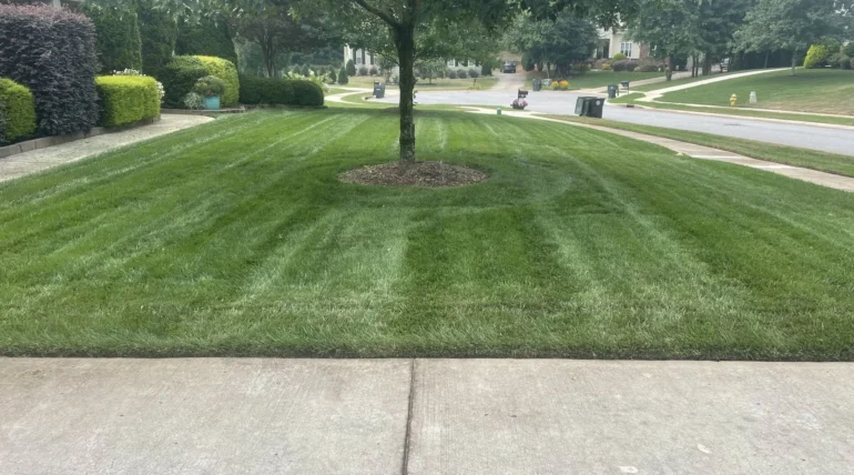 aeration and overseeding