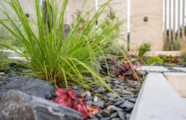 sustainable landscaping in Mooresville