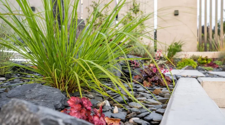 sustainable landscaping in Mooresville