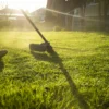 spring lawn care