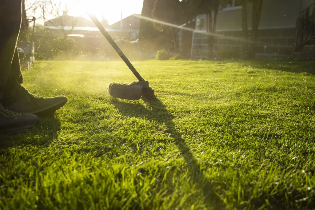 spring lawn care