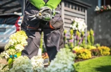 spring lawn care Mooresville NC