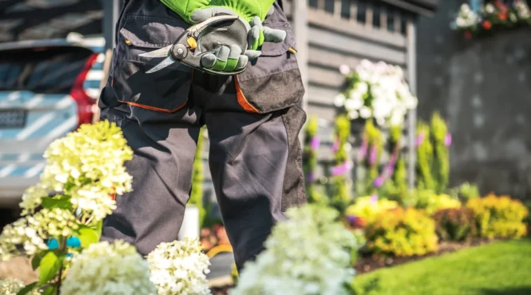 spring lawn care Mooresville NC