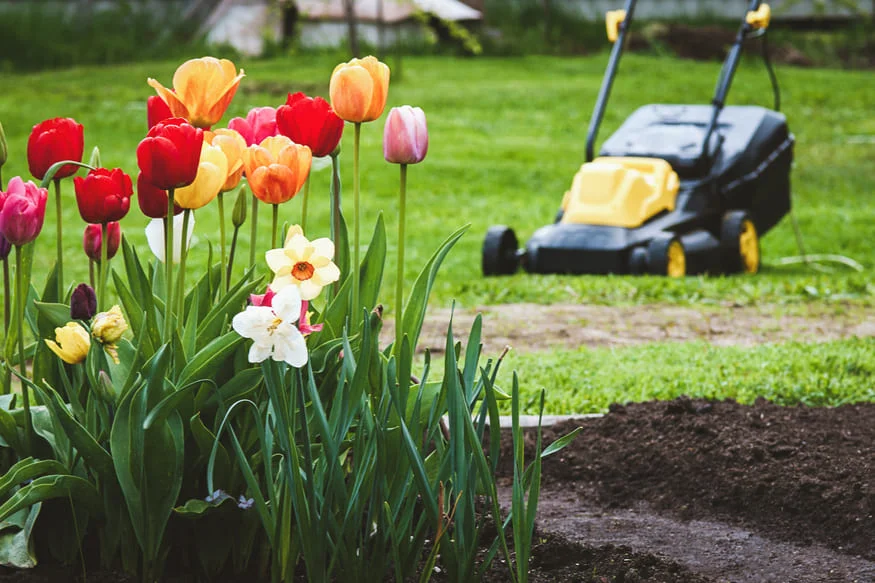 spring lawn care Mooresville NC