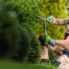 How Much Does Lawn Care Cost in Mooresville NC