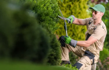 How Much Does Lawn Care Cost in Mooresville NC