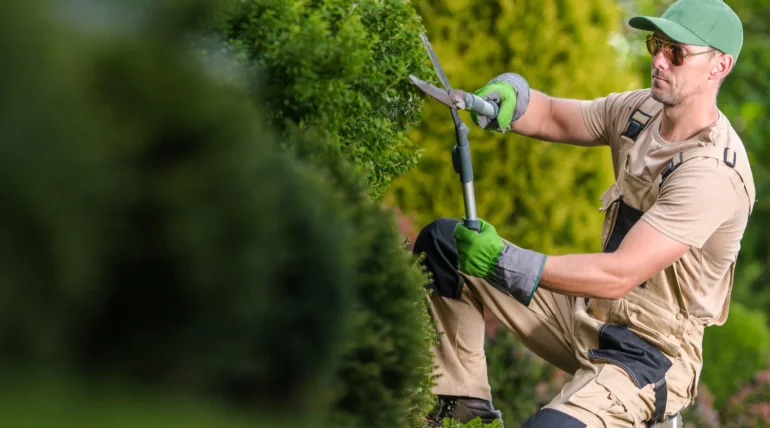 How Much Does Lawn Care Cost in Mooresville NC