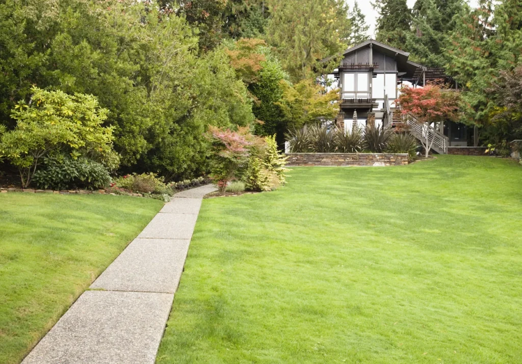 How Much Does Lawn Care Cost in Mooresville NC